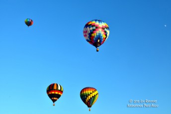 2015-Hot-Air-Balloon-Fest---123