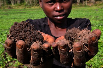 28jpg Burundi - The woman in the rural context