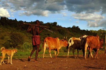 7jpg Uganda, the Karimojong people between past and present, farming and agriculture.