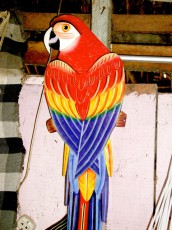 Painted Parrot in