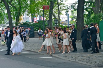 Bridal Party Crossing 5th Ave. - NYC