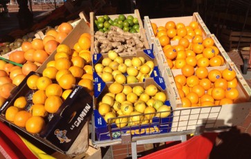 Citrus fruits galore @CelinaLafuenteDeLavotha