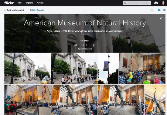 American_Museum_of_Natural_History___Flickr