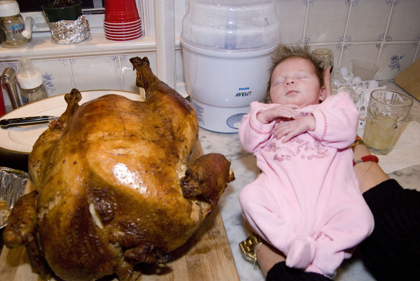 Addison and our Thanksgiving Turkey - Click to Enlarge