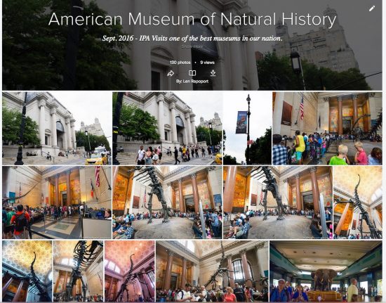 American_Museum_of_Natural_History___Flickr 2
