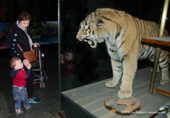 Reid was afraid of this tiger