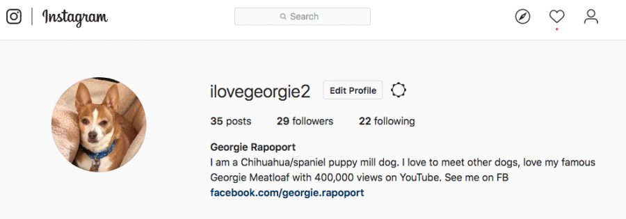 Follow Georgie On Instagram